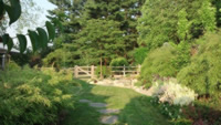 Backyard Garden 1