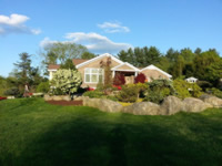 Backyard Garden 2