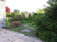Backyard Garden 3