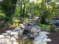Water Garden 3