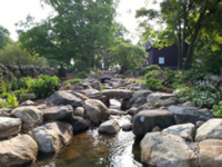 Water Garden 4