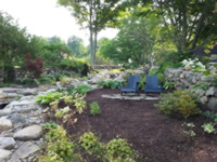 Water Garden 5
