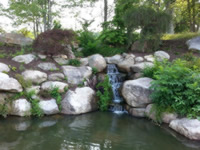 Water Garden 6