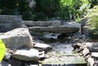 Backyard Oasis