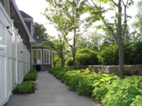 Classic Perennial Garden