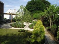 Amazing Backyard Transformation