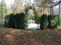 Gardenroom