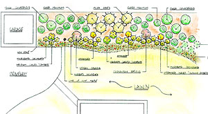 landscape designer CT NY